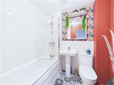 Picture 16